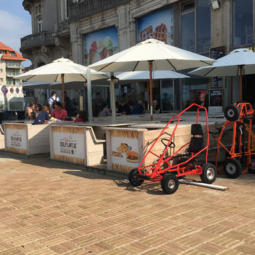 Dolfijntje in Nieuwpoort-Bad