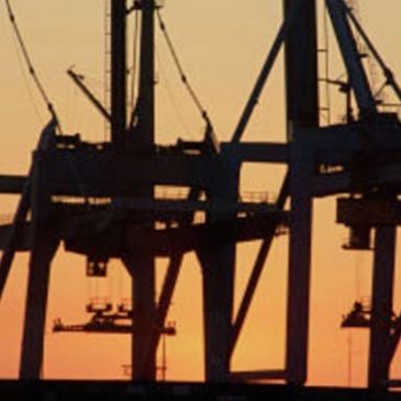 Havenrondrit met bus (groepen) in Zeebrugge