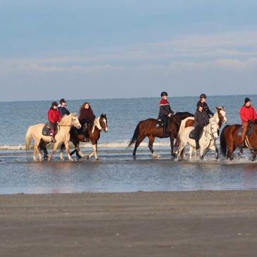 Manege De Drie Vijvers in Adinkerke