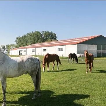 Manege Snippenhof in Leffinge