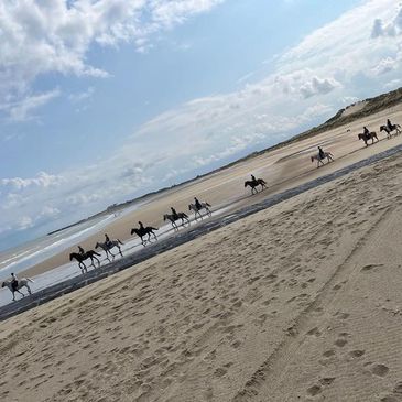 Stal Ponderosa in Knokke