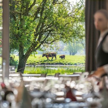 Restaurant Hof Ter Doest in Lissewege