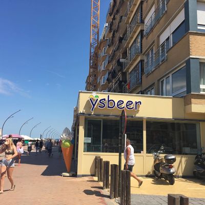 Ijsbeer