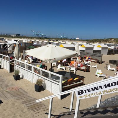Banana Moon Beach Club