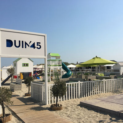 Duin 45