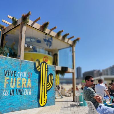 Q-Beachhouse