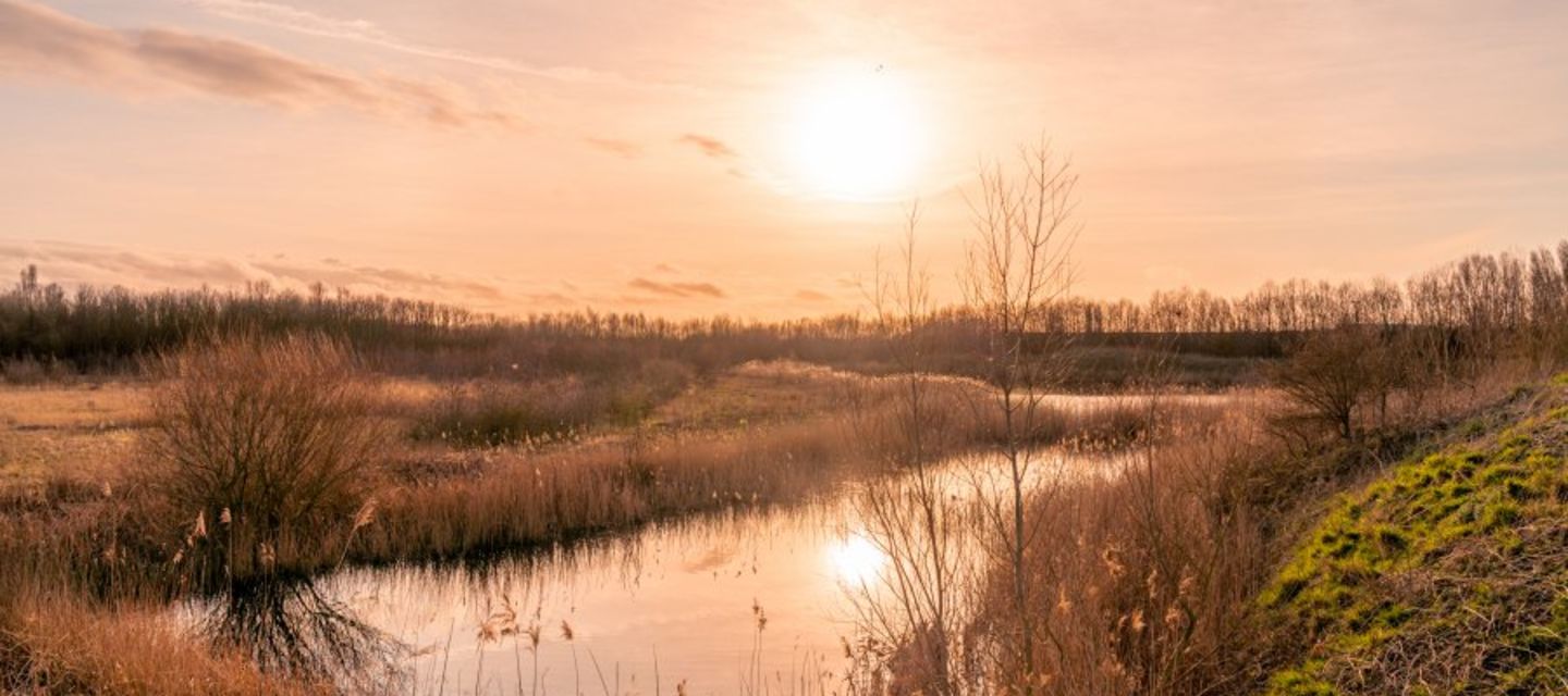 OVERNACHTEN: aan zee tijdens de herfst? Ga op vakantie in &eacute;&eacute;n van de volgende 3 vakantieverblijven in Oostende-Centrum, Oostduinkerke of Knokke