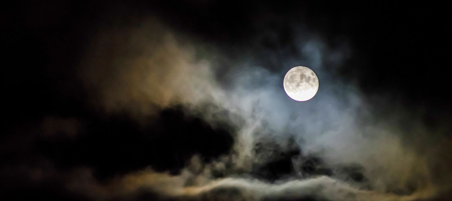 Halloween in De Haan en Wenduine 2023