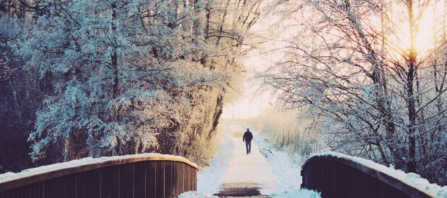 Begeleide winterwandelingen aan de Belgische kust