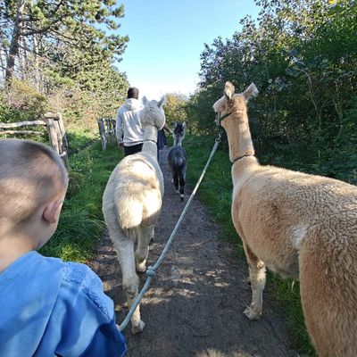Paasvakantie aan de Belgische kust