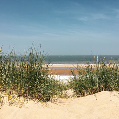 Stevig stappen tijdens de AG Belgian Coastwalk