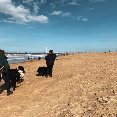Pinksterweekend aan zee