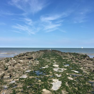Vissen aan Zee: Jan en Luc