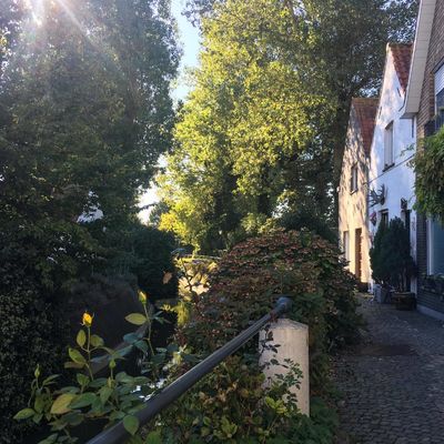 Ontdek Lissewege in 9 foto's