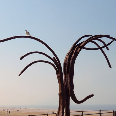 Ontdek 4 dingen om te doen in De Haan of Oostende