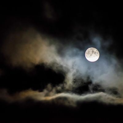 Halloween in De Haan en Wenduine 2023