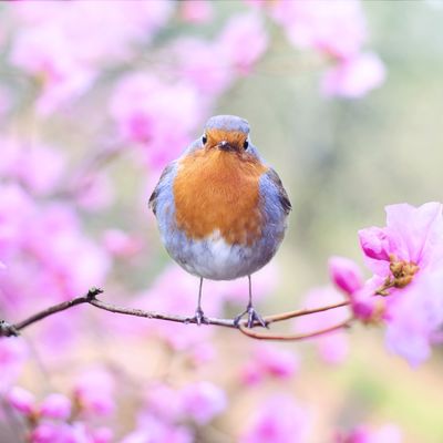 6 redenen om deze lente naar de Belgische kust te gaan