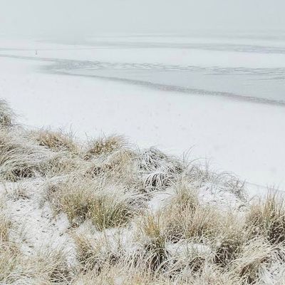 Het sneeuwt aan de kust