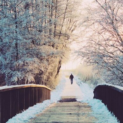 Begeleide winterwandelingen aan de Belgische kust