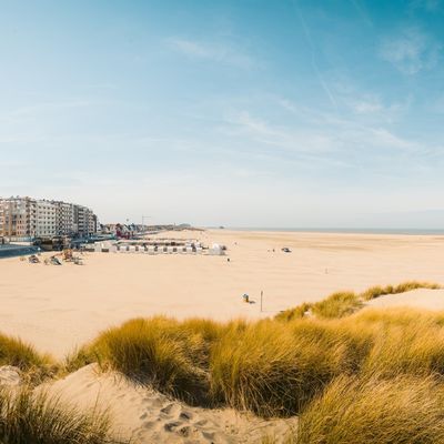 Evenementen in  Zeebrugge - juli 2024