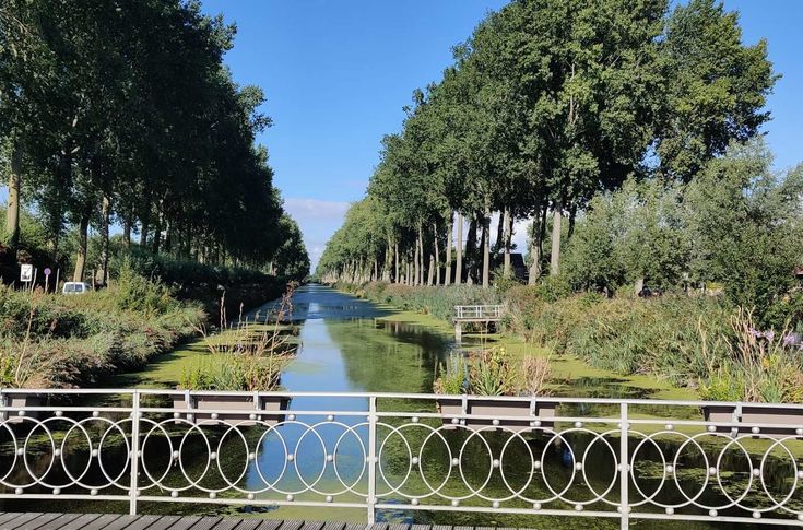 Prachtige natuur aan de Damse Vaart