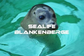 Bezoek aan SEA LIFE BLANKENBERGE