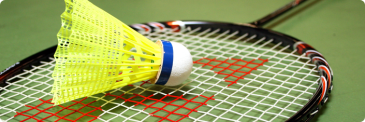 TIJDELIJK AFGELAST: Badminton (18+) in Koksijde