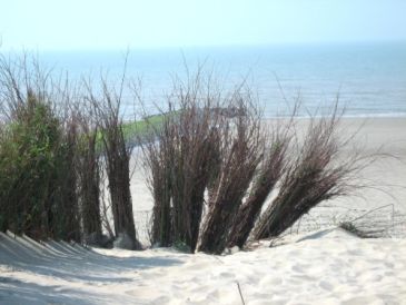Strand- en duinenwandeling in Bredene