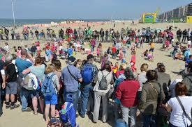 Eieren rapen op het strand in De Panne