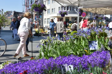 Bloemenjaarmarkt - GEANNULEERD in Koksijde