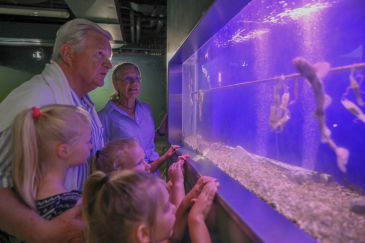 Gezinsworkshop: aquaria achter de schermen (VOLZET) in Koksijde
