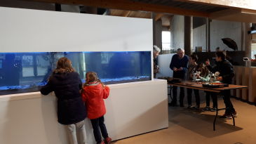 Aquariumsnuisteren paasvakantie in De Panne