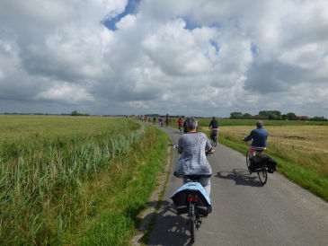 Per fiets naar de Uitkerkse Polder in De Haan