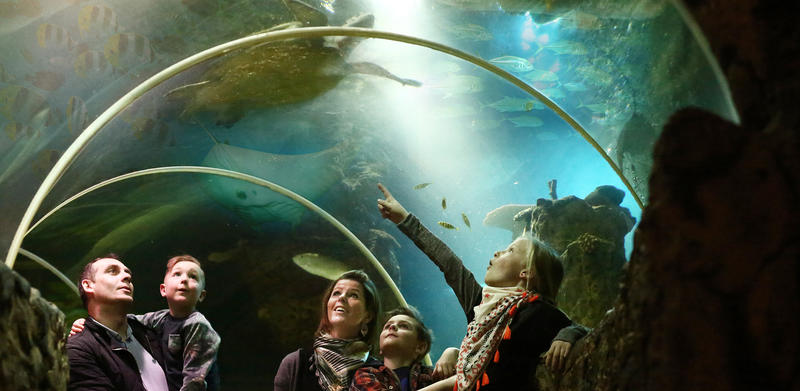Sea Life promo foto familie in oceaantunnel