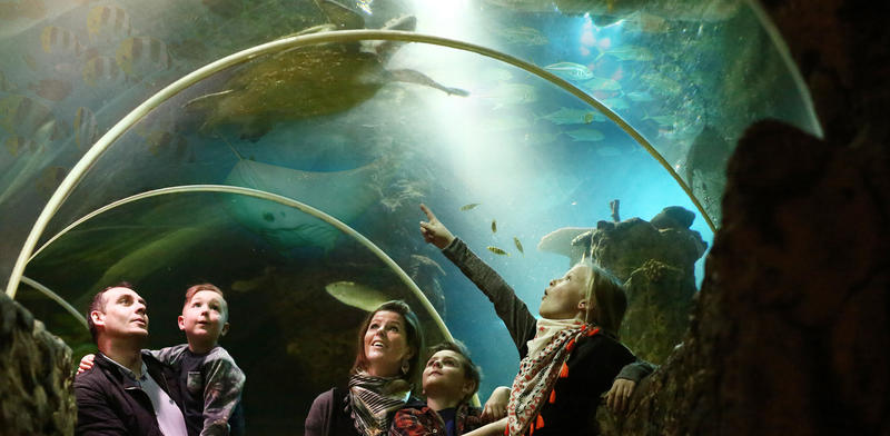 Tunnel Sea Life Blankenberge