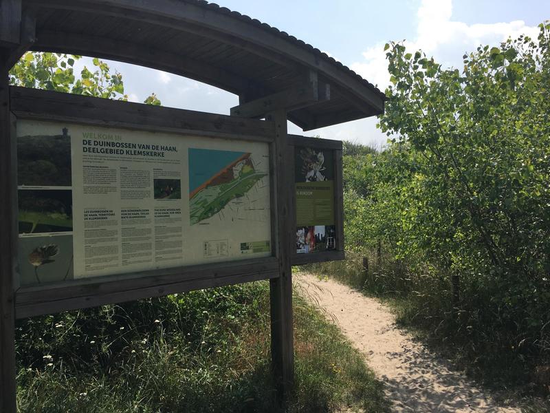 Duinbossen De Haan