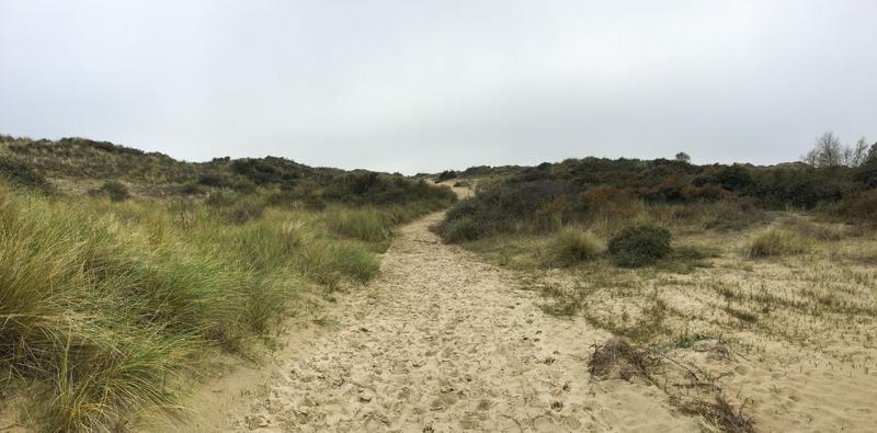 Panorama De Westhoek
