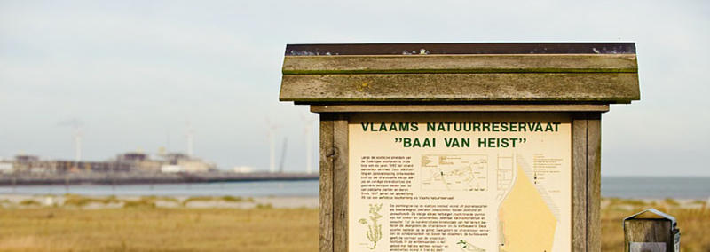 Baai van Heist Knokke Heist wandelen Natuurgebied 