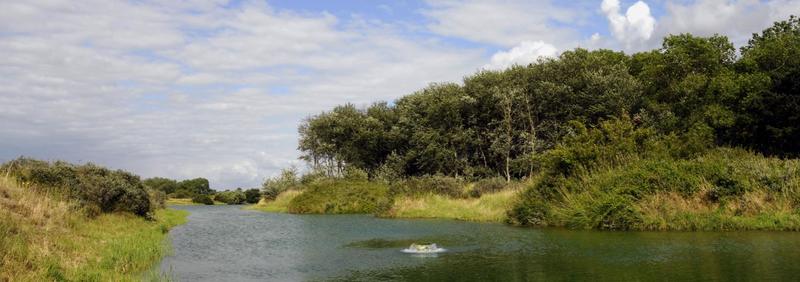 ©E. Wellens ANB wandelen natuur rivier groen Doornpanne