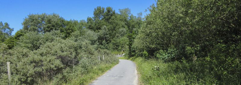 Effenweg wandelen natuurgebieden Hannecartbos Koksijde