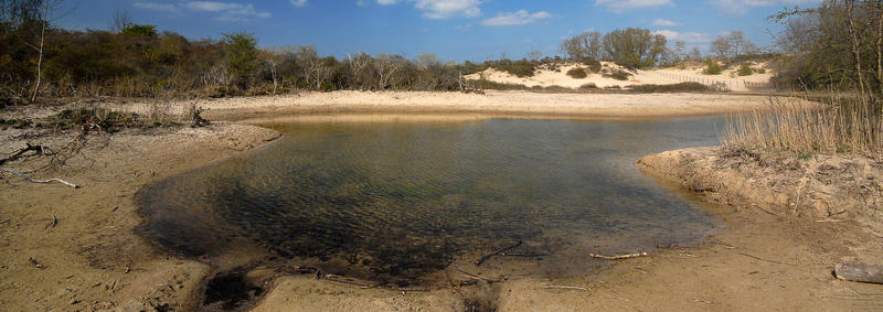 ©Tom Linster ANB Noordduinen plas wandelen duinen