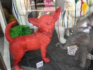 Rode chihuahua essentiel De Panne