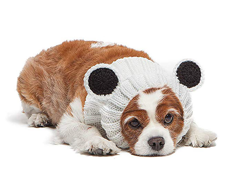 Hond met pandamuts