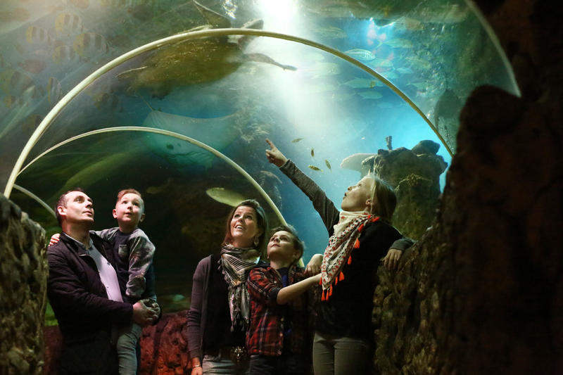 Familie in onderzeese tunnel bij Sea life