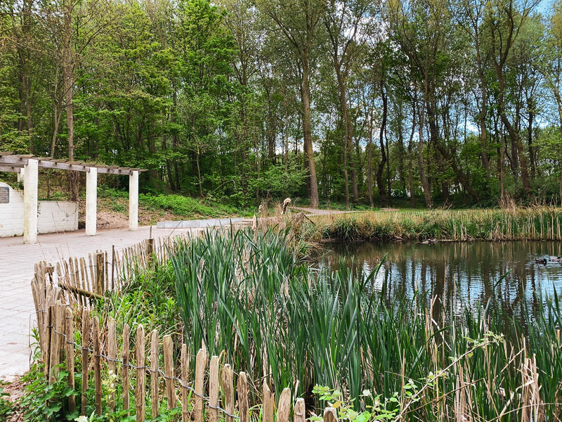 Directeur Generaal Willemspark Knokke