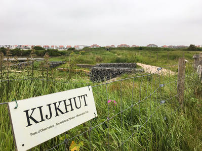 Kijkhut in de ijzermonding, veel groen
