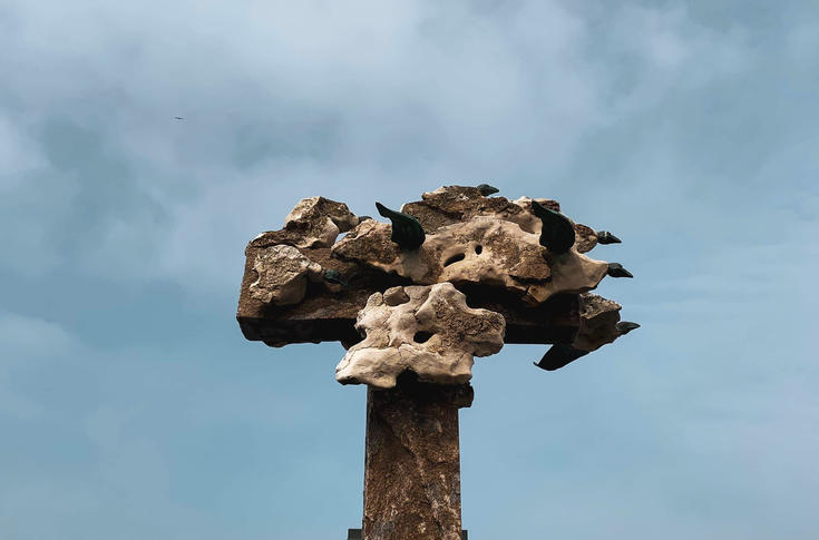 Stormvogels van Chris Ferket