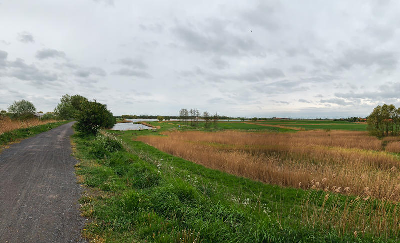 Frontzate fiets- en wandelpad langs de Koolhofput in Nieuwpoort