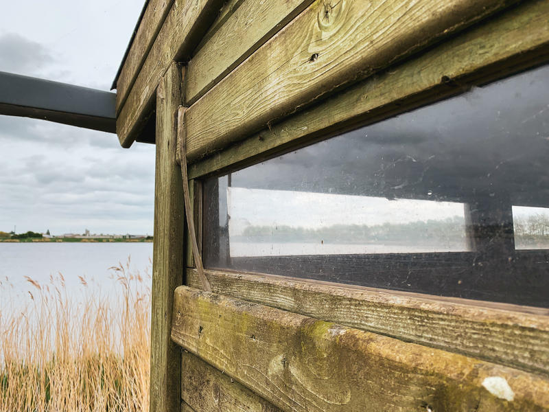 Vogelkijkhut Koolhofput Nieuwpoort