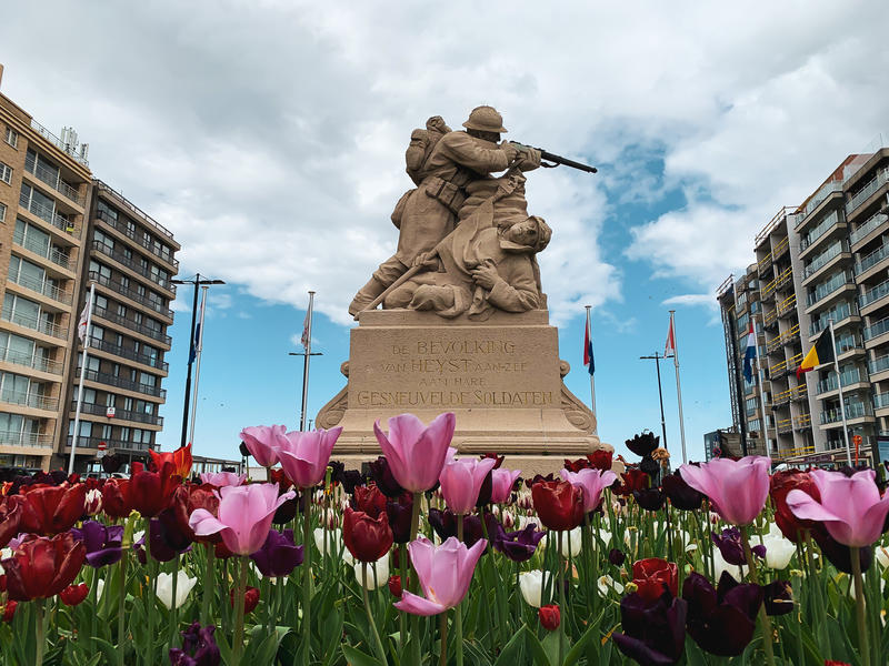 Heist standbeeld omringd door tulpen Heldenplein